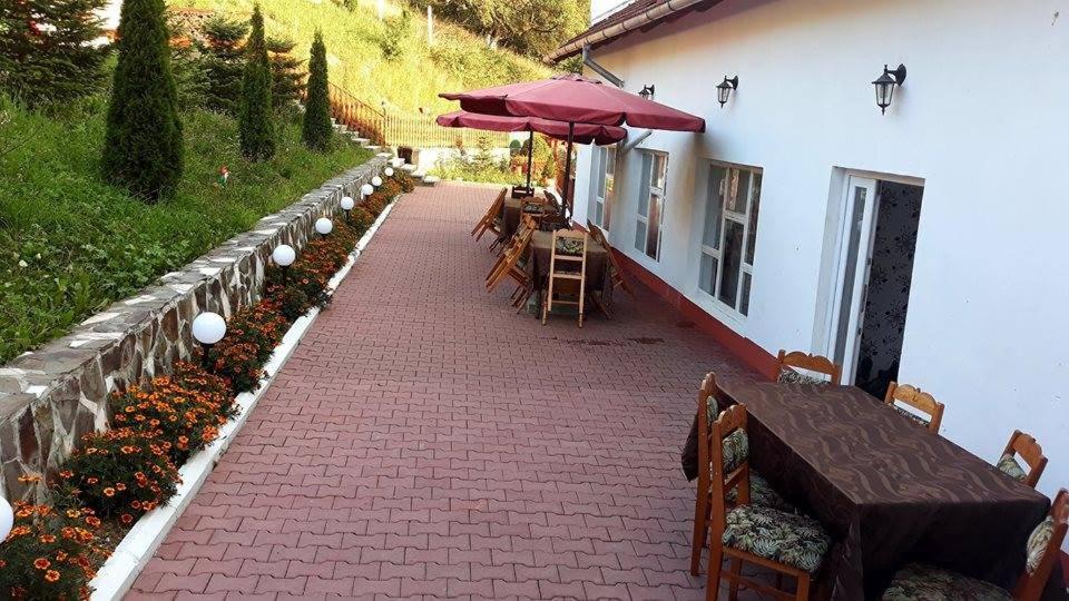 Pensiunea Tinelu Brasov Săcele Εξωτερικό φωτογραφία