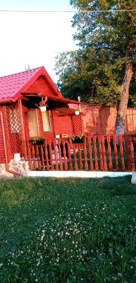 Pensiunea Tinelu Brasov Săcele Εξωτερικό φωτογραφία
