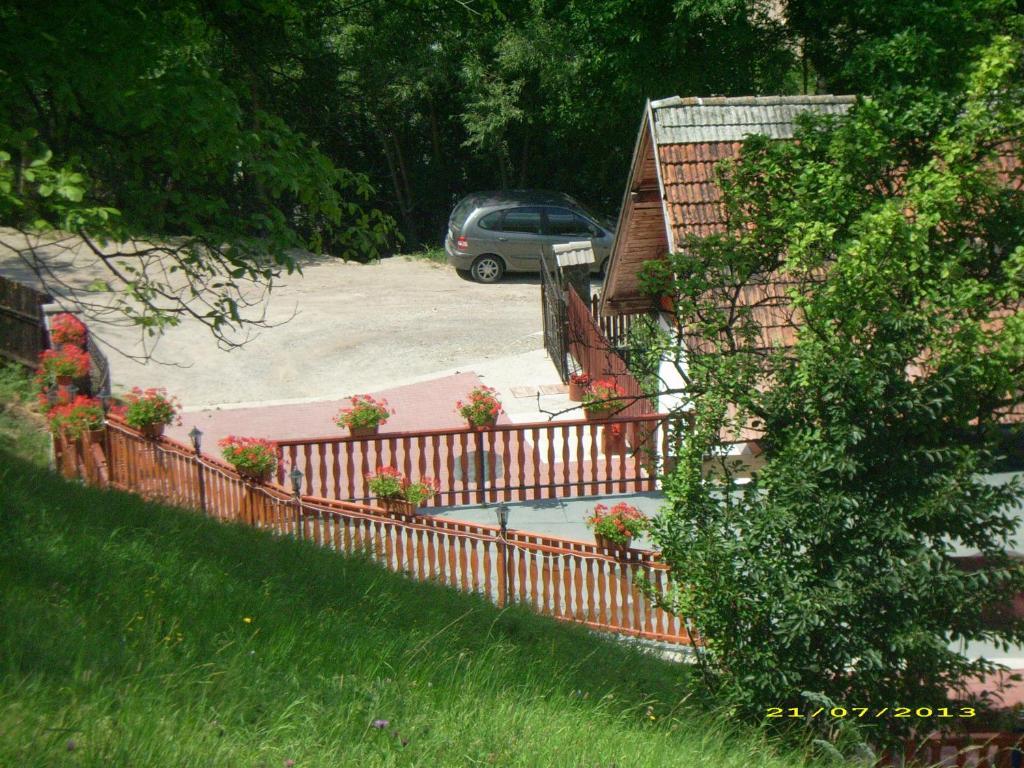 Pensiunea Tinelu Brasov Săcele Εξωτερικό φωτογραφία