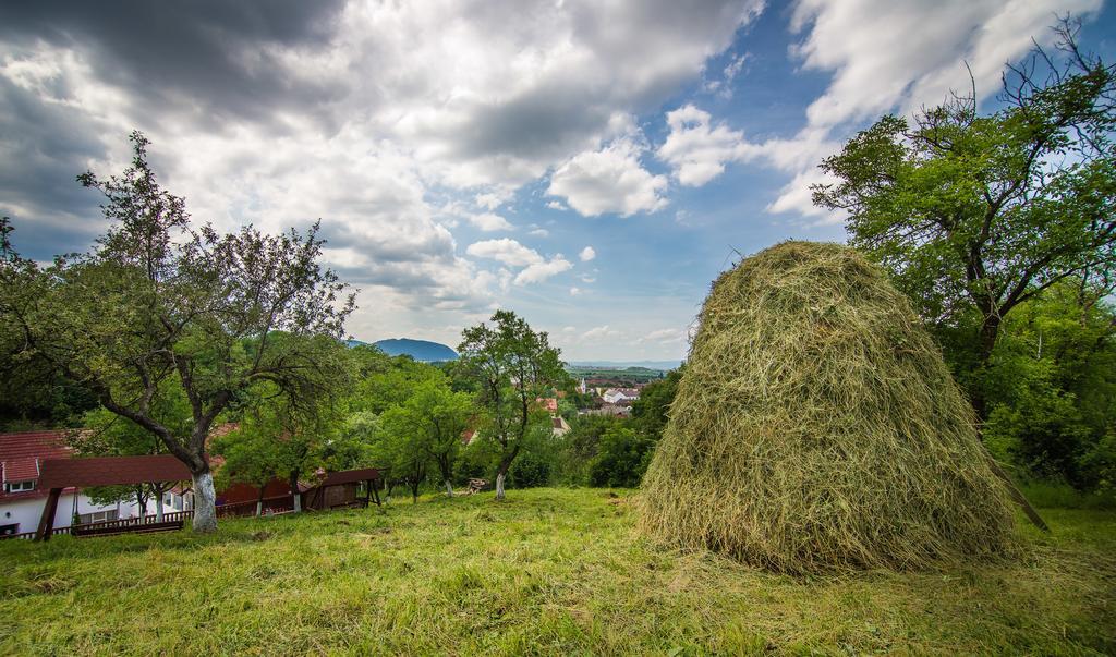 Pensiunea Tinelu Brasov Săcele Εξωτερικό φωτογραφία